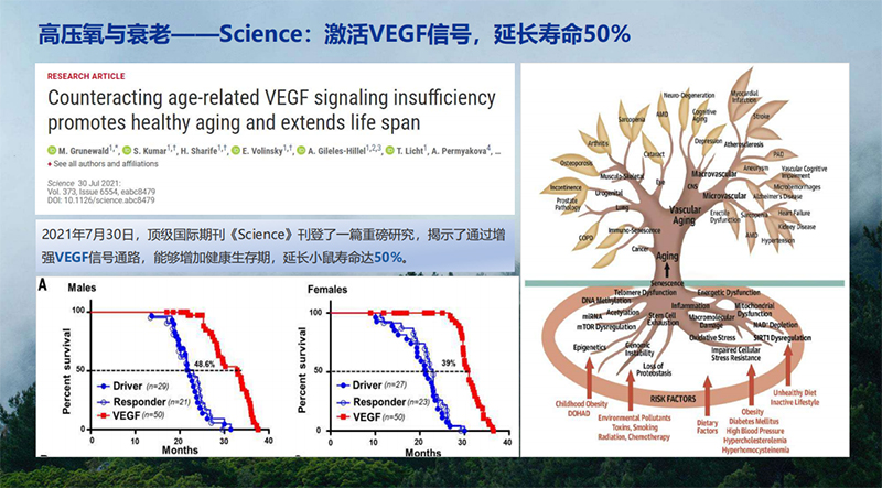 高压氧舱1.jpg